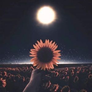 Meet your Posher, Audra